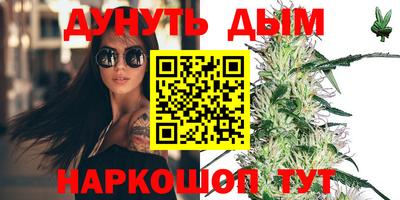 крисы Аргун