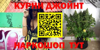 крисы Аргун